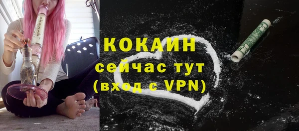 индика Пролетарск