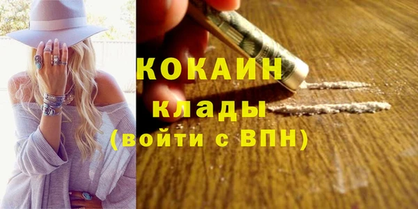 индика Пролетарск