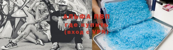 индика Пролетарск