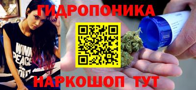 индика Гагарин