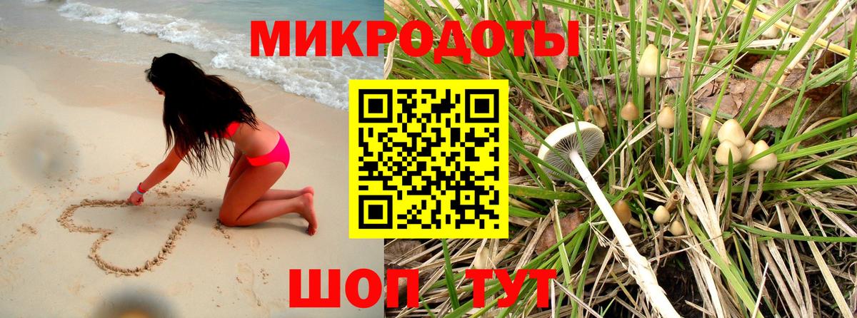 Советск  Галлюциногенные грибы GOLDEN TEACHER  где найти наркотики  Вход с VPN  Псилоцибиновые грибы мухоморы 