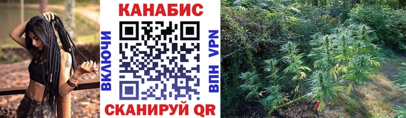 купить наркотик Советск Бошки марихуана гибрид